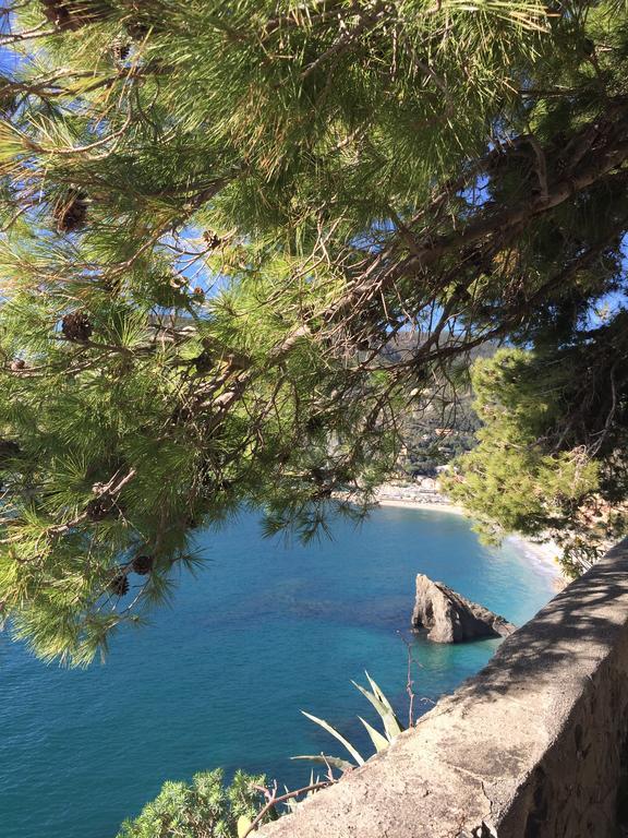 Ferienwohnung Acciuga Monterosso al Mare Exterior foto